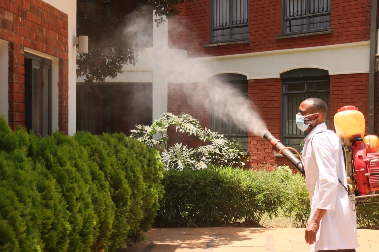 Fumigation Services