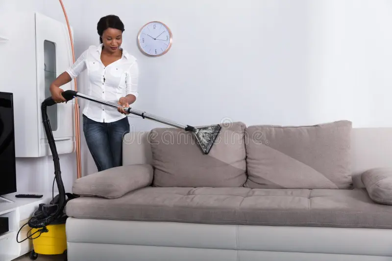 Sofa Cleaning Video Review